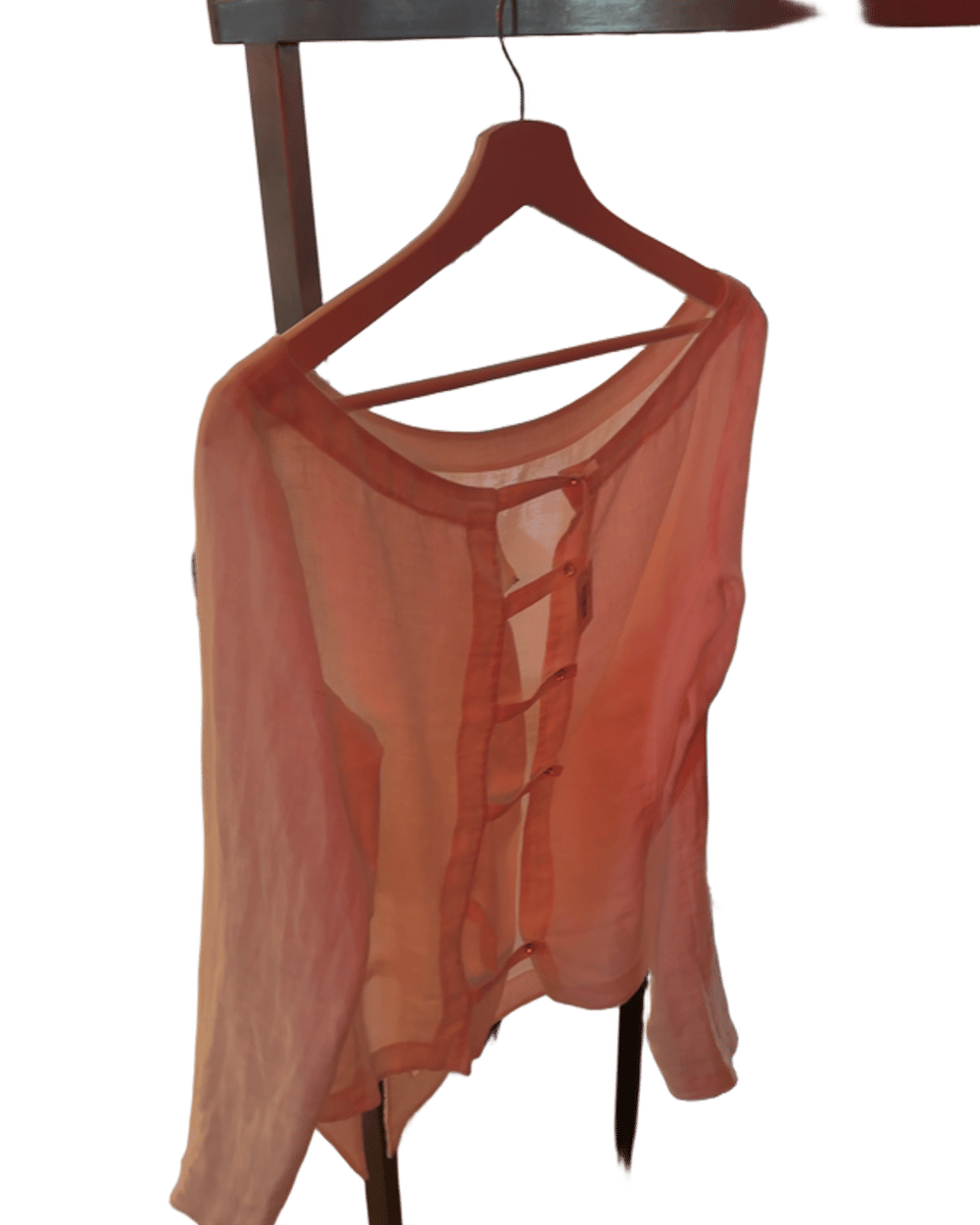 Sheer Pink Long Sleeve Button-Front Blouse