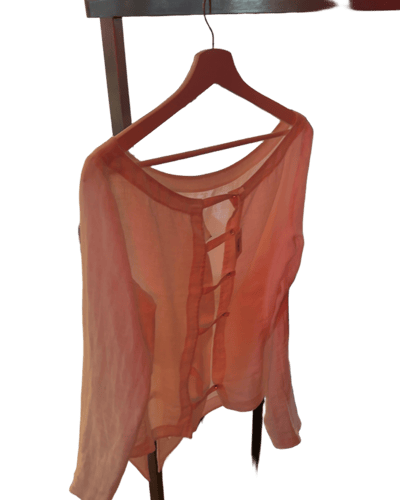 Sheer Pink Long Sleeve Button-Front Blouse